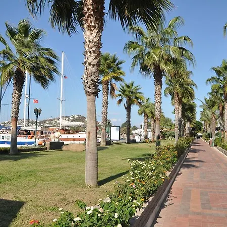公寓 Hill View Gardens *